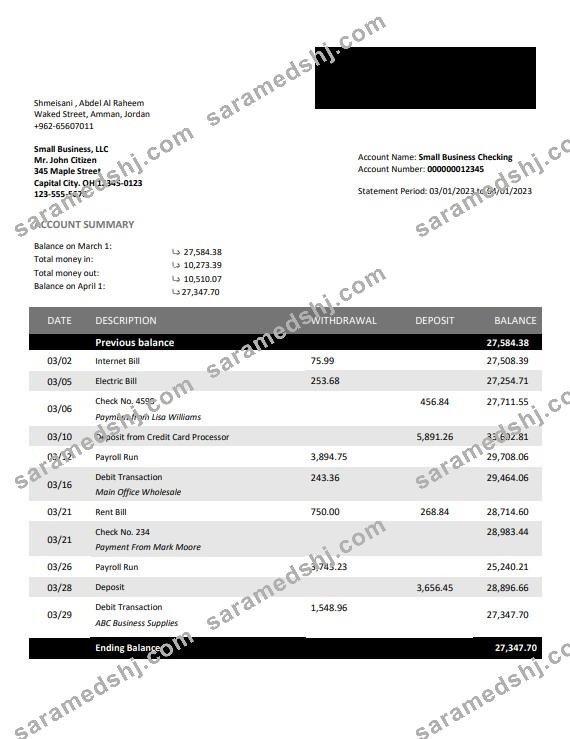 Bank Al Etihad firm account statement Word and PDF template